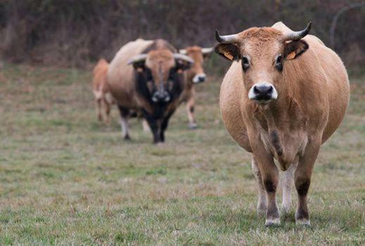 Petit Gite A La Ferme Villa Rosnay  Eksteriør billede